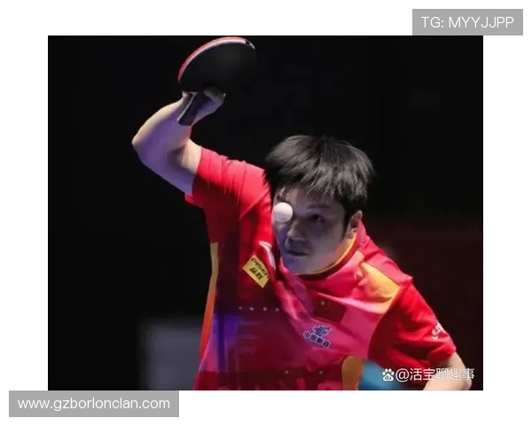 乒乓球的魅力：深入了解上海乒乓球队的默契配合与战术策略